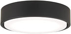 Minka-Aire K9886L-CL Xtreme H2O 1-Light Kit LED, 20 Watts, Coal