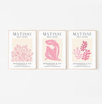 Matisse Art wall Décor Set of 3,Unframed sage Pink wall art,Truly Quality Canvas Prints for 11x14in,Art poster decoration for kitchen, bathroom,living room,bedroom