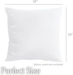 lalaLOOM Velvet Throw Pillow Covers, Set of 2, 18x18 Decorative Square Pillows Home Decor, Soft Accent Cases, Silky Machine Washable Pillowcases for Sofa, Couch, Bedroom, Living Room, White