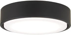 Minka-Aire K9886L-CL Xtreme H2O 1-Light Kit LED, 20 Watts, Coal