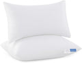 Leeden 12x20 Pillow Inserts Pack of 2, Fluffy Lumbar Throw Pillow Inserts, Soft Square Decorative Throw Pillows for Couch, Sofa, Bed, and Home Decor White Pillows