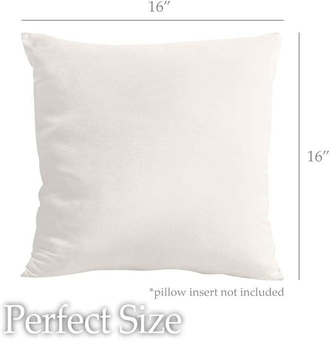 lalaLOOM Velvet Throw Pillow Covers, Set of 2 Decorative Square Pillows Home Decor, Soft Accent Cases, Silky Machine Washable Pillowcases for Sofa, Couch, Bedroom, Living Room, 16x16, Cream