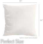 lalaLOOM Velvet Throw Pillow Covers, Set of 2 Decorative Square Pillows Home Decor, Soft Accent Cases, Silky Machine Washable Pillowcases for Sofa, Couch, Bedroom, Living Room, 16x16, Cream