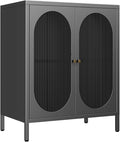 Small Cabinet with 2 Acrylic Doors, Metal Pantry with Adjustable Shelf and High Feet, Black Accent Cabinet for Home, Office, Living Room,Sideboard, Hallway and Entryway