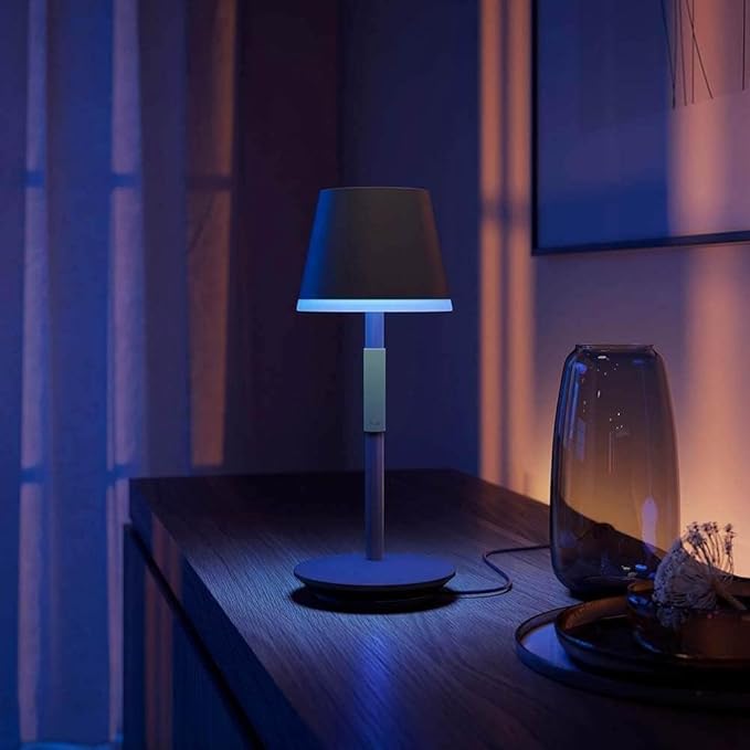 Philips Hue Go Smart Portable Table Lamp, 1 Pack, Black, White and Color Ambiance LED Color-Changing Light, Smart LED Lamp for Indoor and Outdoor Use, Control with Hue App or Voice Assistant