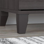 Pemberly Row Contemporary 2 Drawer Lateral File Cabinet in Storm Gray