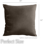 lalaLOOM Velvet Throw Pillow Covers, Set of 2, 18x18 Decorative Square Pillows Home Decor, Soft Accent Cases, Silky Machine Washable Pillowcases for Sofa, Couch, Bedroom, Living Room, Brown