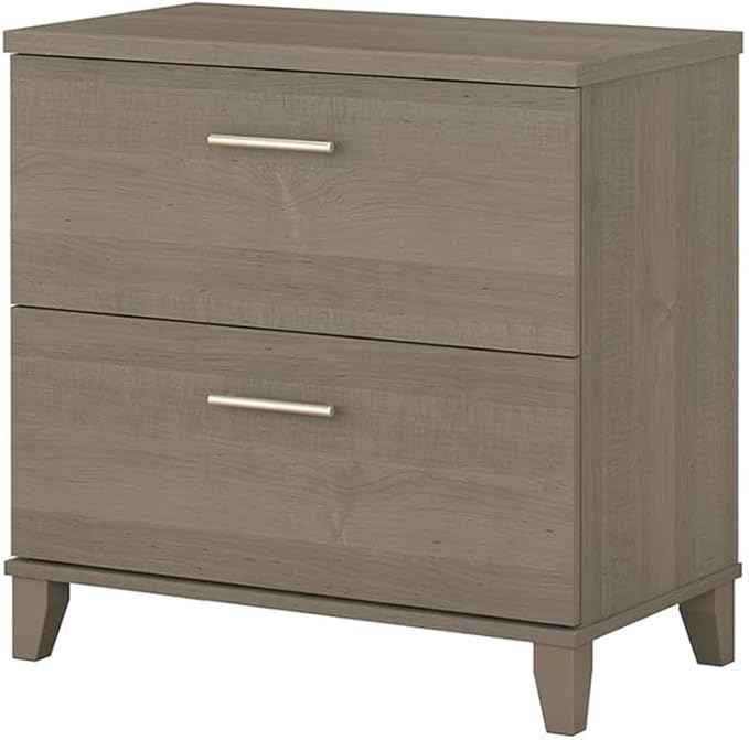 Pemberly Row Contemporary 2 Drawer File Cabinet in Ash Gray Finish