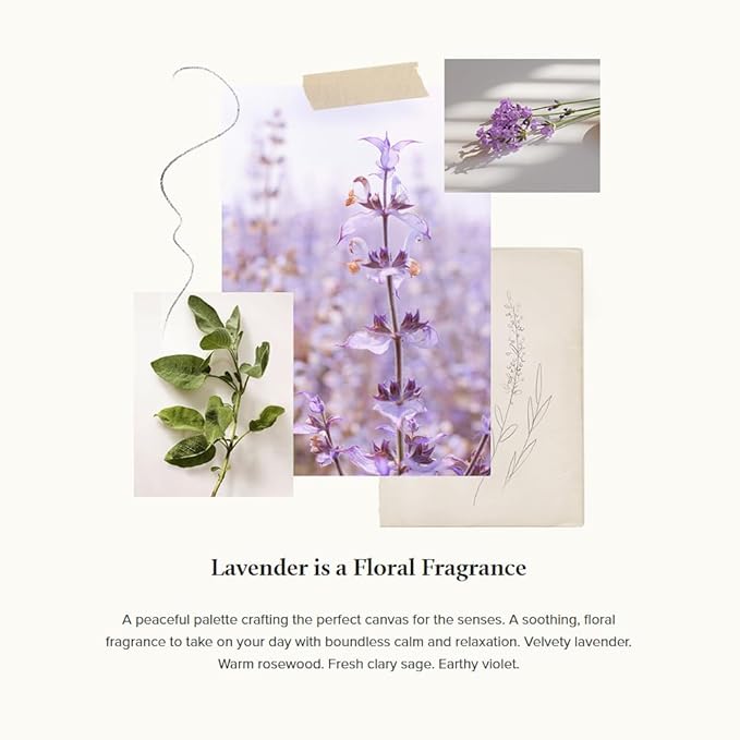 Thymes Aromatic Jar Candle - Lavender Scented Candle for a Soothing Home Fragrance - Matte White Candles (7.5 oz)
