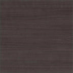 Pemberly Row Contemporary 2 Drawer Lateral File Cabinet in Storm Gray