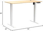 FLEXISPOT EN2 Whole-Piece Bamboo Standing Desk Clamp Power Strip, 55 x 28 Electric Stand Up Height Adjustable Desk with Cable Management (Grey Frame + 55" Bamboo Top, 2 Packages)