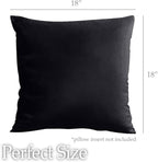 lalaLOOM Velvet Throw Pillow Covers, Set of 2, 18x18 Decorative Square Pillows Home Decor, Soft Accent Cases, Silky Machine Washable Pillowcases for Sofa, Couch, Bedroom, Living Room, Jet Black