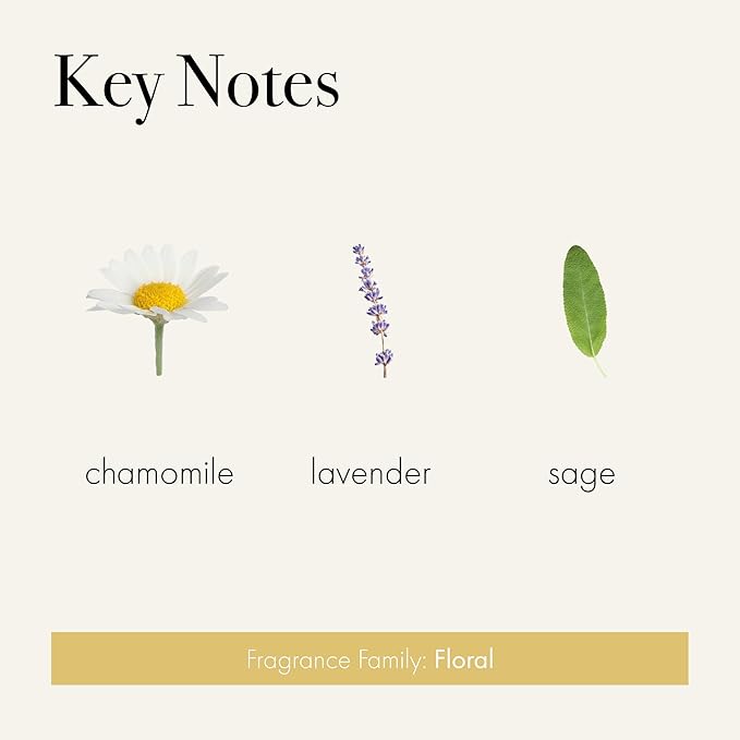 LAFCO New York Votive Candle, Chamomile Lavender - 1.9 oz - 20-Hour Burn Time - Reusable Glass Vessel - Made in The USA