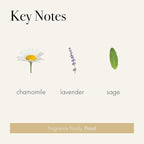 LAFCO New York Signature Candle, Chamomile Lavender - 15.5 oz - 90-Hour Burn Time - Reusable, Hand Blown Glass Vessel - Made in The USA