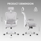 Farini Ergonomic Office Chair, Home Office Desk Chair with Headrest, High Back Computer Chair with Armrests and Adjustable Lumbar Support for Home Office Study Room, White & Gray