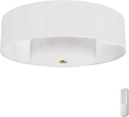 Hunter - Brookside Indoor Fandelier with Light, Remote, 30-inch, Casual-Style, 3-Speed WhisperWind Motor, 52974, Ceiling Fans for Living Rooms, bedrooms, Home Offices, Kitchens (Luxe Gold)