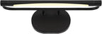 Possini Euro Design Possini Euro Samuel 17" Wide Black LED Picture Light