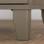 Pemberly Row Contemporary 2 Drawer File Cabinet in Ash Gray Finish