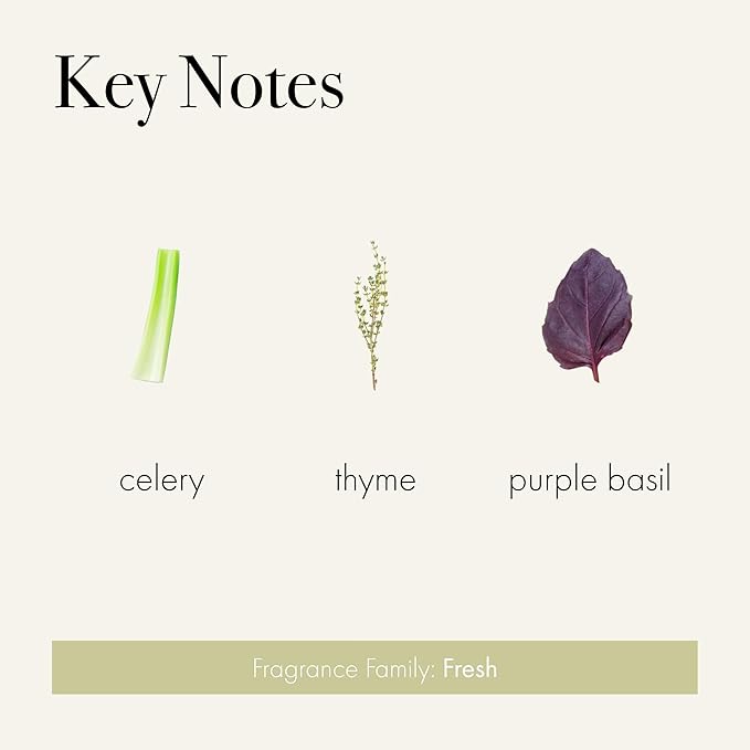 LAFCO New York Signature Candle, Celery Thyme - 15.5 oz - 90-Hour Burn Time - Reusable, Hand Blown Glass Vessel - Made in The USA