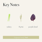 LAFCO New York Signature Candle, Celery Thyme - 15.5 oz - 90-Hour Burn Time - Reusable, Hand Blown Glass Vessel - Made in The USA