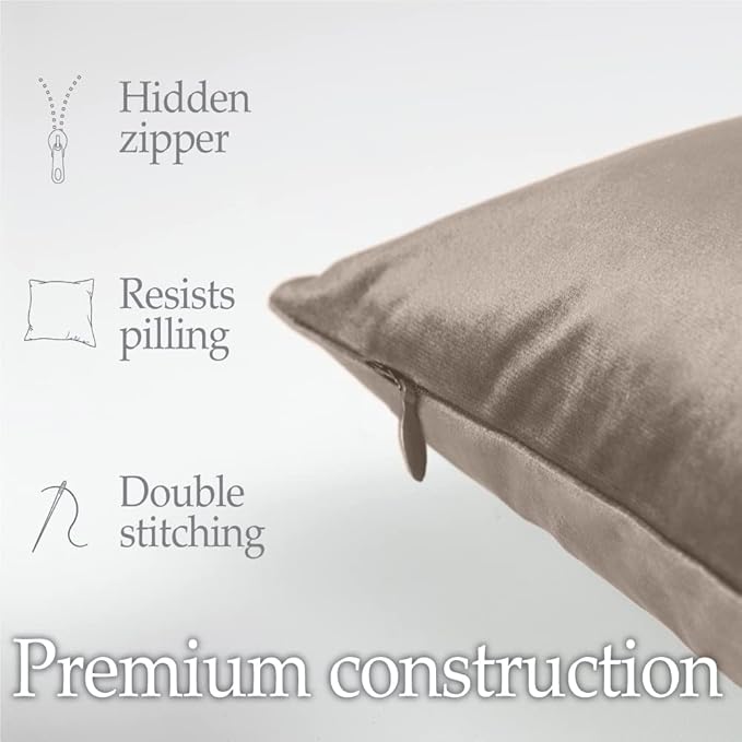 lalaLOOM Velvet Throw Pillow Covers, Set of 2 Decorative Square Pillows Home Decor, Soft Accent Cases, Silky Machine Washable Pillowcases for Sofa, Couch, Bedroom, Living Room, 16x16, Taupe