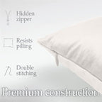 lalaLOOM Velvet Throw Pillow Covers, Set of 2 Decorative Square Pillows Home Decor, Soft Accent Cases, Silky Machine Washable Pillowcases for Sofa, Couch, Bedroom, Living Room, 16x16, Cream
