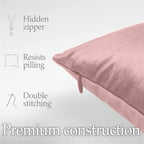 lalaLOOM Velvet Throw Pillow Covers, Set of 2 Decorative Square Pillows Home Decor, Soft Accent Cases, Silky Machine Washable Pillowcases for Sofa, Couch, Bedroom, Living Room, 16x16, Dusty Rose