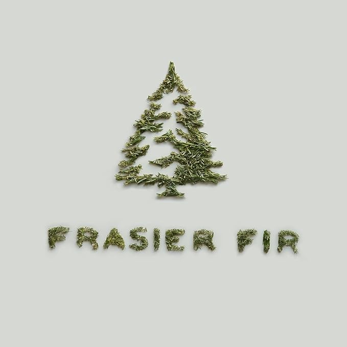 Thymes Frasier Fir Candle - Heritage Pine Needle Luminary Scented Candles - Elegant Pine Candle - Crisp Siberian Fir, Cedarwood & Sandalwood - Holiday Candles - Christmas Decor (Large, 16 oz)