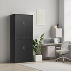 BESFUR Metal Cabinet, Garage Storage Cabinet with Drawer and Adjustable Shelves for Garage, Office, School - Black