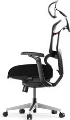 FLEXISPOT ErgoX-PRO Ergonomic Office Chair Black – 5D Lumbar, 7D Armrests, 4D Headrest, 551LB Capacity, Cloudtech Cushion – Office, Gaming, Bedroom