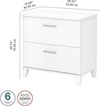 Bush Furniture 2 Drawer Lateral File Cabinet, Letter and Legal-Size Document Storage for Home or Professional Office, Somerset Collection, White