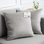 lalaLOOM Velvet Throw Pillow Covers, Set of 2, 20x20 Decorative Square Pillows Home Decor, Soft Accent Cases, Silky Machine Washable Pillowcases for Sofa, Couch, Bedroom, Living Room, Light Gray