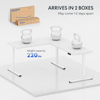 FLEXISPOT L Shaped Standing Desk, 63 x 47 Inch Electric Height Adjustable Corner Desk, Sit Stand Computer Workstation, Preset Controller, Home Office, White Frame with White Top, White Drawer