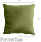 lalaLOOM Velvet Throw Pillow Covers, Set of 2, 20x20 Decorative Square Pillows Home Decor, Soft Accent Cases, Silky Machine Washable Pillowcases for Sofa, Couch, Bedroom, Living Room, Moss Green