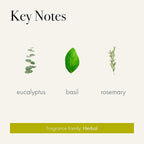 LAFCO New York Classic Candle, Rosemary Eucalyptus - 6.5 oz - 50-Hour Burn Time - Reusable, Hand Blown Glass Vessel - Made in The USA