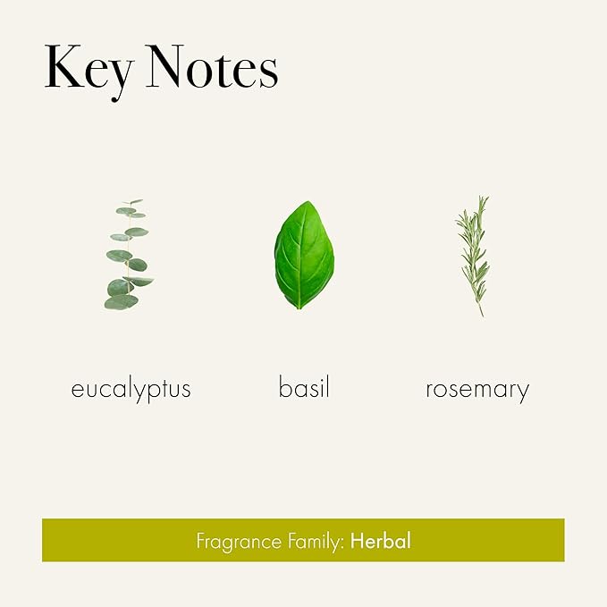 LAFCO New York Classic Candle, Rosemary Eucalyptus - 6.5 oz - 50-Hour Burn Time - Reusable, Hand Blown Glass Vessel - Made in The USA