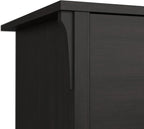 Bush Furniture Salinas 2 Drawer Lateral File Cabinet in Vintage Black, Home Office Storage Solution, Organizer with Drawers for Workspace, Filing Unit
