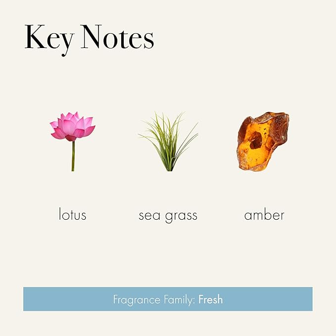 LAFCO New York Votive Candle, Sea & Dune - 1.9 oz - 20-Hour Burn Time - Reusable Glass Vessel - Made in The USA