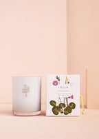 Lollia This Moment Luminary | 11 oz / 312 g