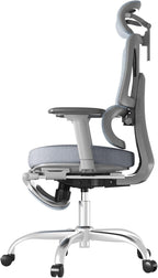 FLEXISPOT ErgoX Premium Ergonomic Office Chair with Footrest- Adjustable 3D Armrests, Dynamic Lumbar Support, Recline & Tilt Function, Mesh Seat, for Home & Office Use,Foam Grey