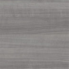 Pemberly Row 2 Drawer Lateral File Cabinet in Platinum Gray - Engineered Wood