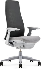 Haworth Fern Office Chair – Ergonomic and Stylish Desk Chair with Breathable Mesh Finish - with Lumbar Support (River Rock)