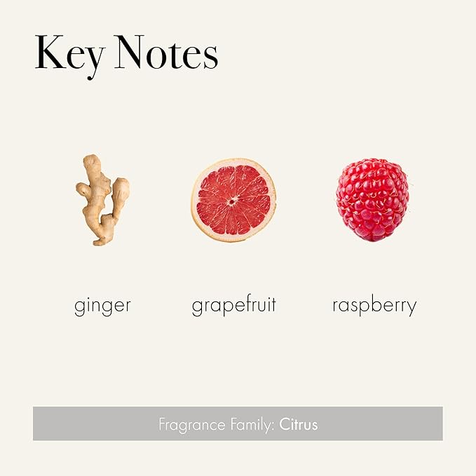 LAFCO New York Signature Candle, Champagne - 15.5 oz - 90-Hour Burn Time - Reusable, Hand Blown Glass Vessel - Made in The USA