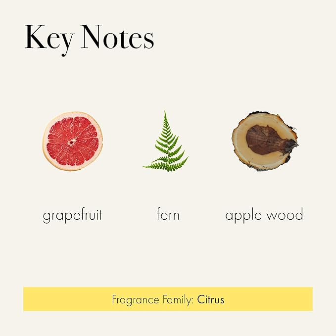 LAFCO New York Classic Candle, White Grapefruit - 6.5 oz - 50-Hour Burn Time - Reusable, Hand Blown Glass Vessel - Made in The USA