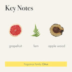 LAFCO New York Signature Candle, White Grapefruit - 15.5 oz - 90-Hour Burn Time - Reusable, Hand Blown Glass Vessel - Made in The USA