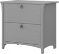 Bush Furniture Salinas 2 Drawer Lateral File Cabinet in Cape Cod Gray, Home Office Storage Solution, Organizer with Drawers for Workspace, Filing Unit