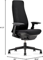 Haworth Fern Office Chair – Ergonomic and Stylish Desk Chair with Breathable Mesh Finish - with Lumbar Support (Coal)