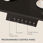 FLEXISPOT EN1 One-Piece Standing Desk 48 x 24 Inches Electric Stand Up Desk for Home Office (Black Frame + 48" Black Top)