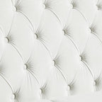LEVNARY White Velvet Chair for Bedroom, Upholstered Sofa Chair with High Back, Mid-Century Modern Armchair with Solid Wood Legs, Single Couches for Living Room (White)