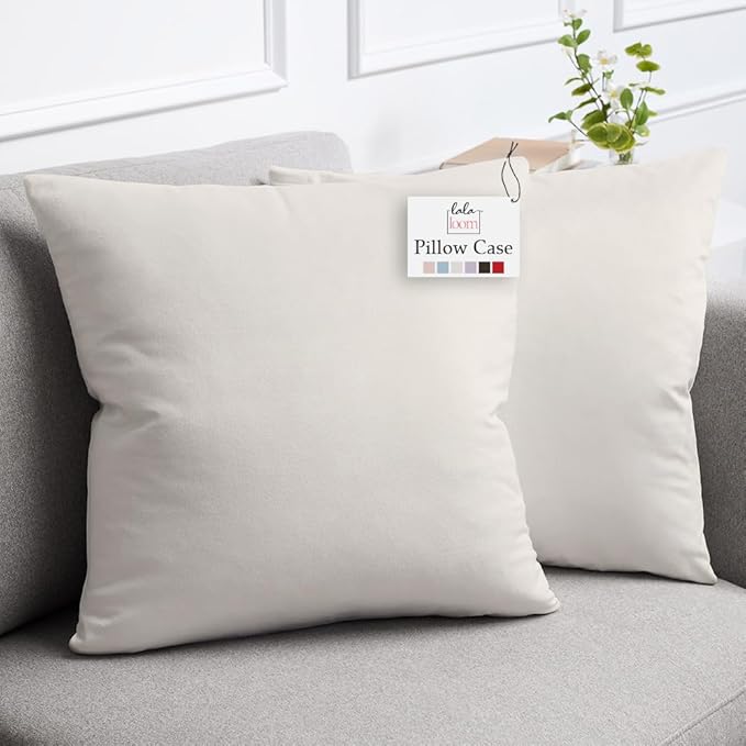 lalaLOOM Velvet Throw Pillow Covers, Set of 2 Decorative Square Pillows Home Decor, Soft Accent Cases, Silky Machine Washable Pillowcases for Sofa, Couch, Bedroom, Living Room, 16x16, Cream
